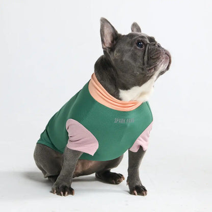 Sunblock Dog T-Shirt - Color Block