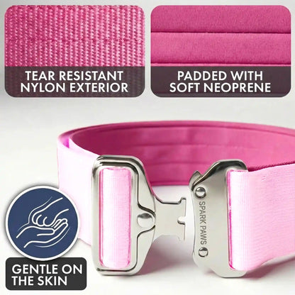Comfort Control Dog Collar Sets