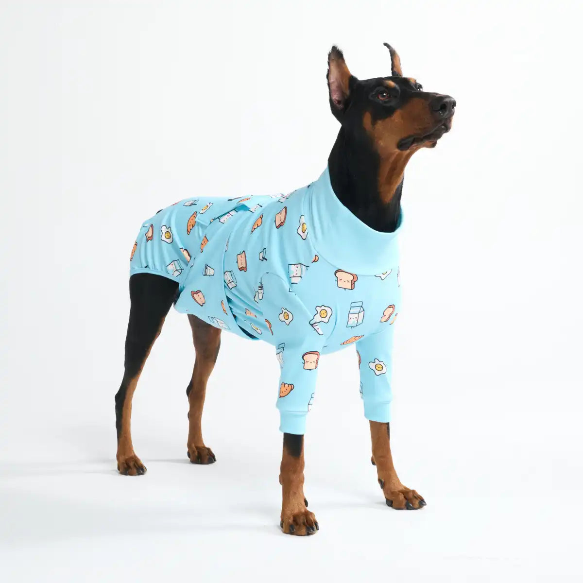 Dog Surgical Suit