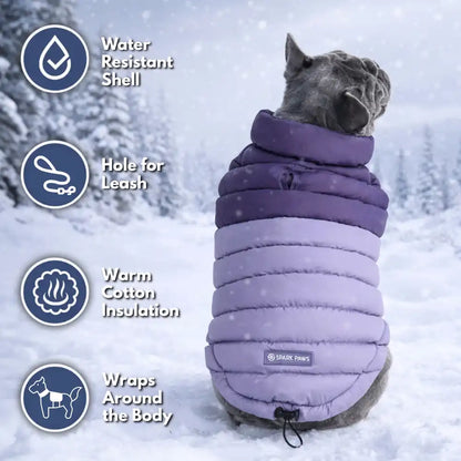 PuffShield Winter Jacket -  Purple