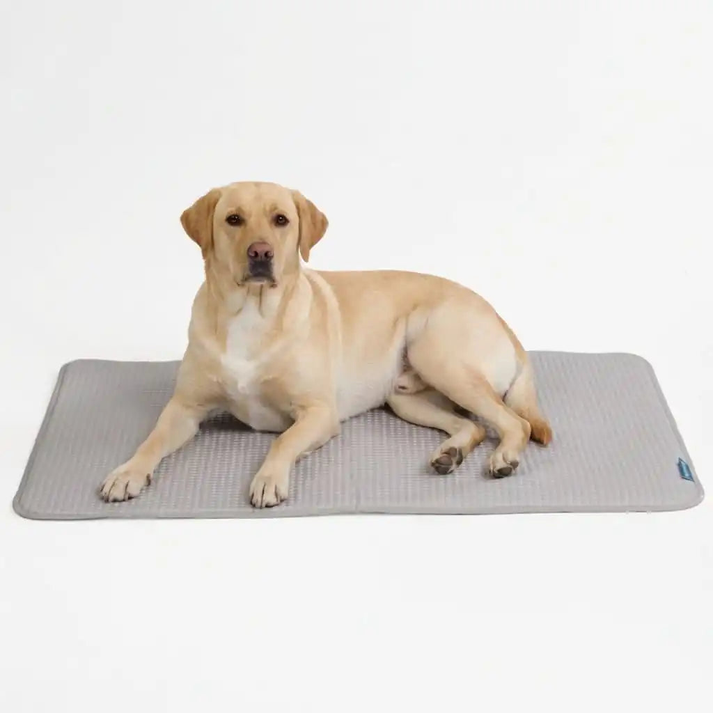 Frostcore™ Cooling Mat