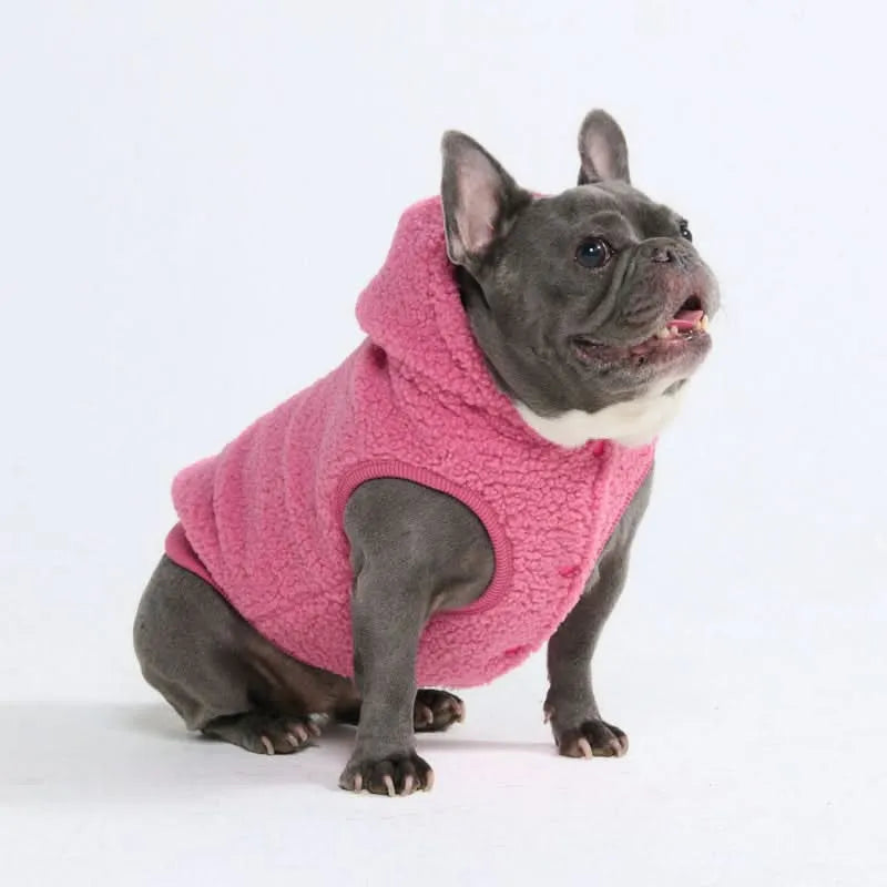 Teddy Sherpa Dog Jackets