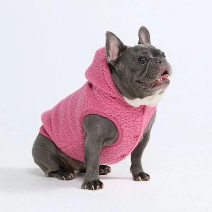 Teddy Sherpa Dog Jackets