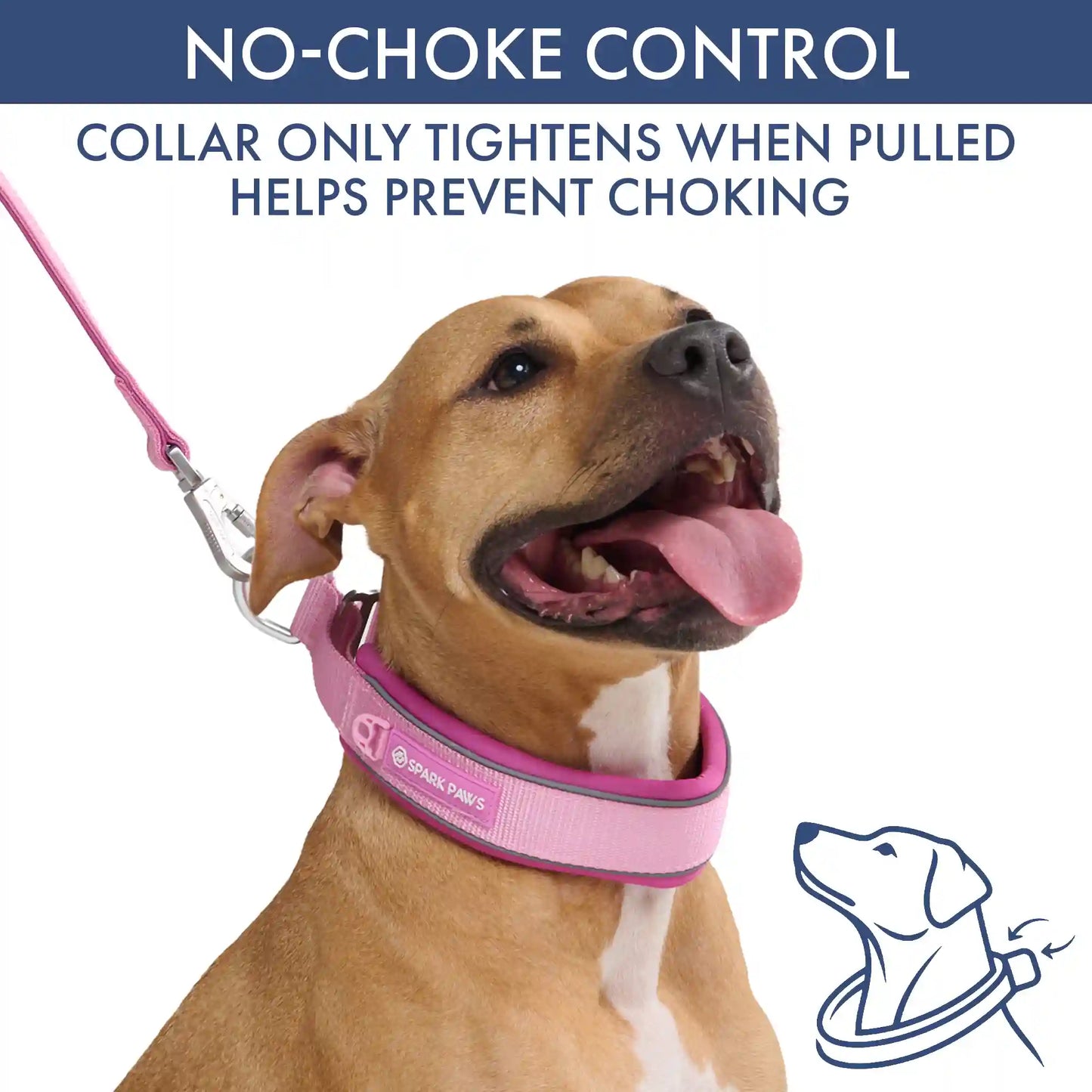 Martingale Collar and Multipurpose Leash Set - Pink