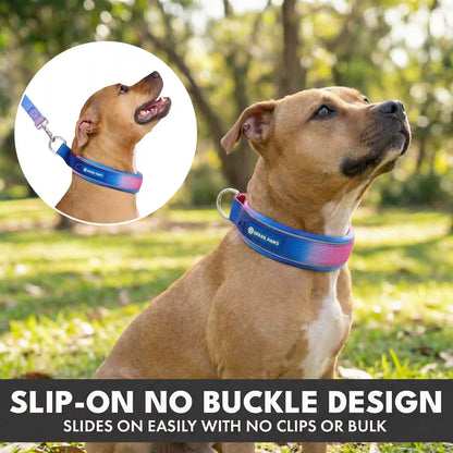 Martingale Collar Sets