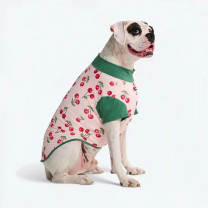 Sunblock Dog T-Shirt - Prints