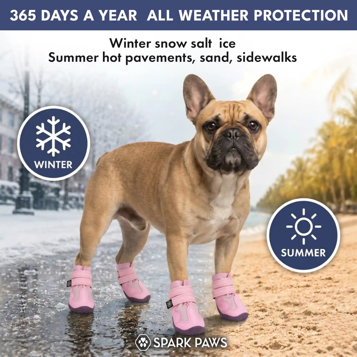 365 All-Season Dog Shoe 4PC Set
