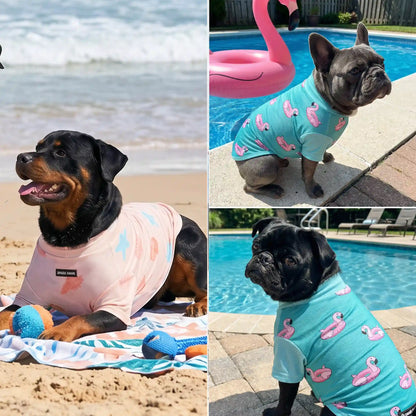 Sunblock Dog T-Shirt 2-pack