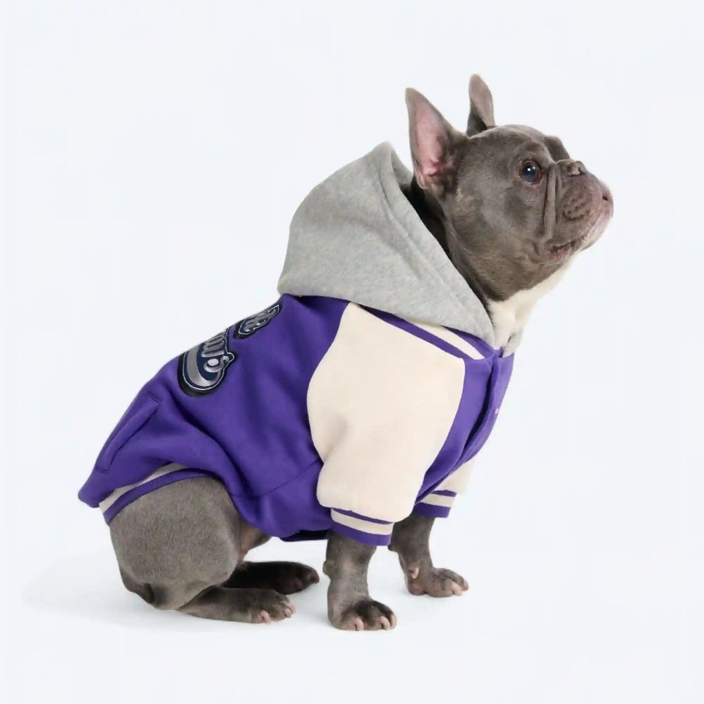 Dog Varsity Jackets