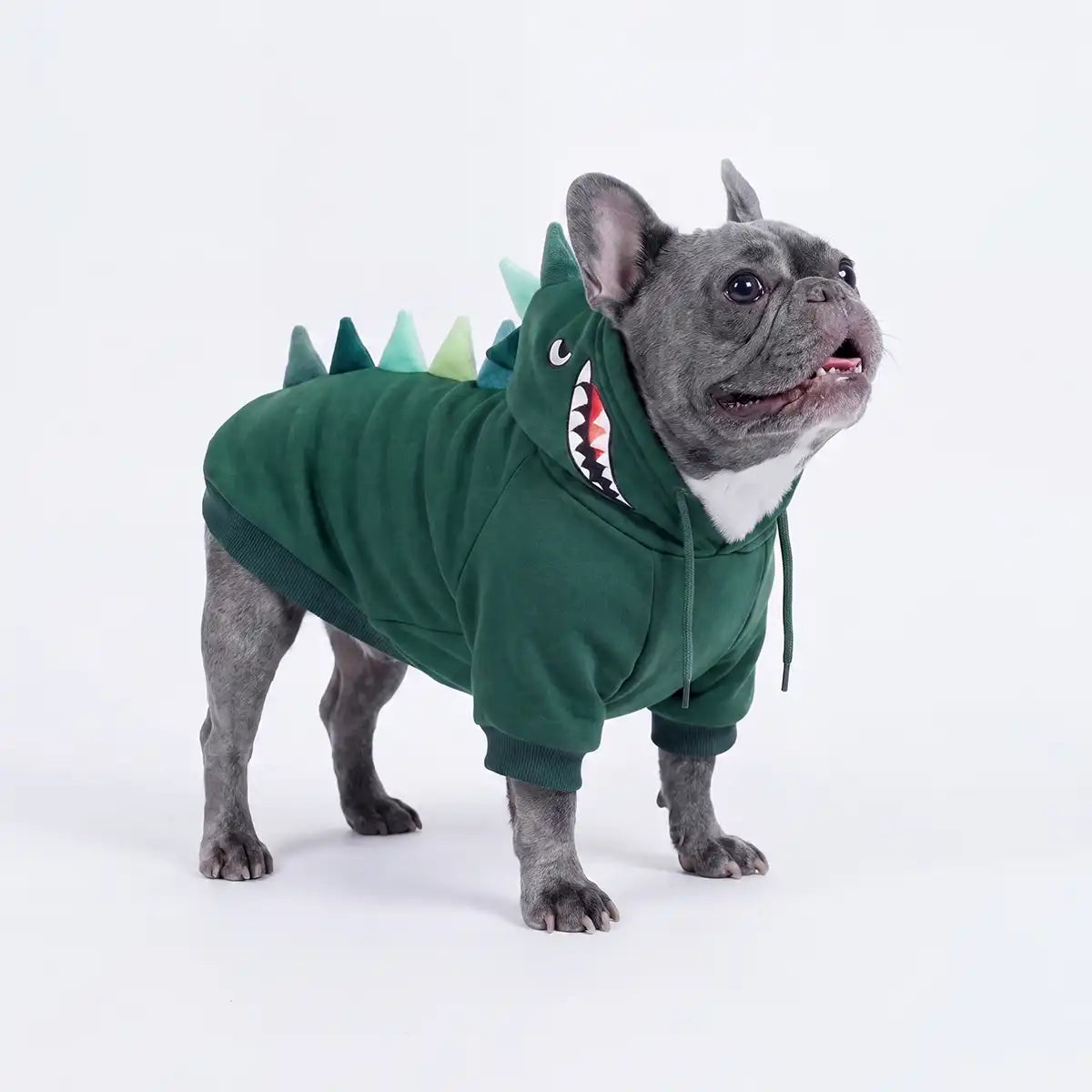 Halloween Dog Hoodies (Limited Edition)
