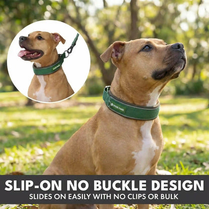 Martingale Collar Set - Army Green