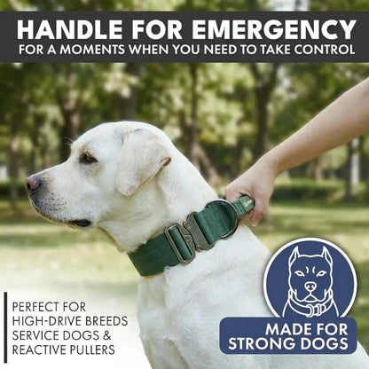 Comfort Control Dog Collar Sets