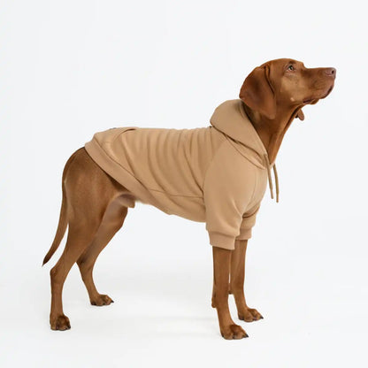 Essential Dog Hoodies