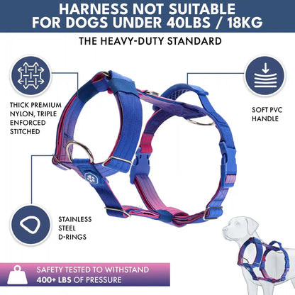Comfort Control No-Pull Dog Harness and Multipurpose Leash Sets