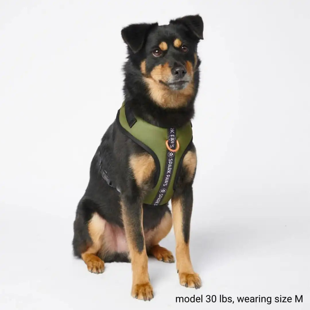 Ultra Soft Activewear Dog Harness - Green