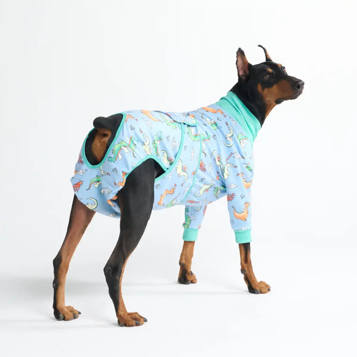 Dog Surgical Suit  2-pack
