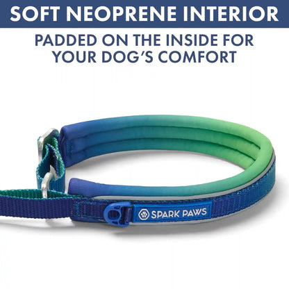 Martingale Collar and Multipurpose Leash Set - Lime Wave