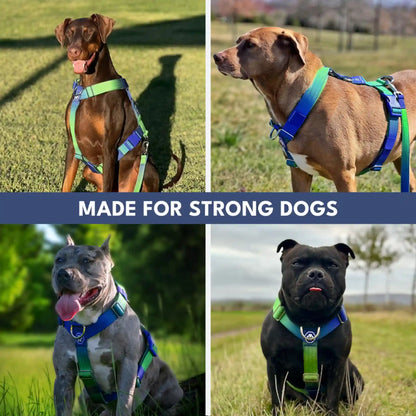 Comfort Control No-Pull Dog Harness and Multipurpose Leash Set - Lime Wave