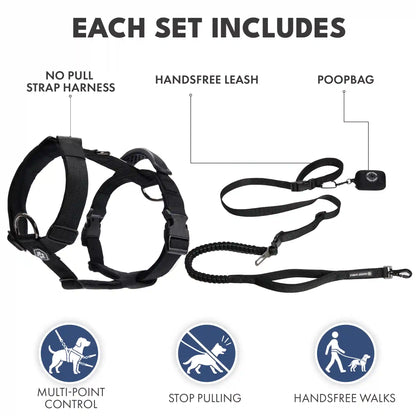 Comfort Control No-Pull Dog Harness and Multipurpose Leash Sets