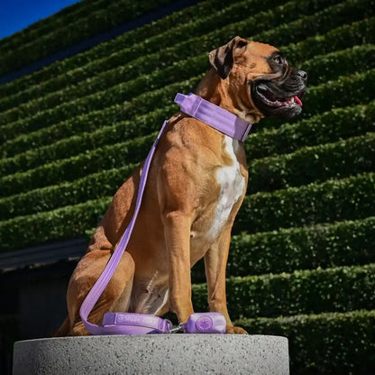 Leash and Poop Bag Holder Set
