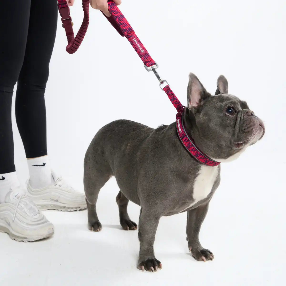 Multipurpose Seatbelt Handsfree Leash & Poop Bag Holder Set