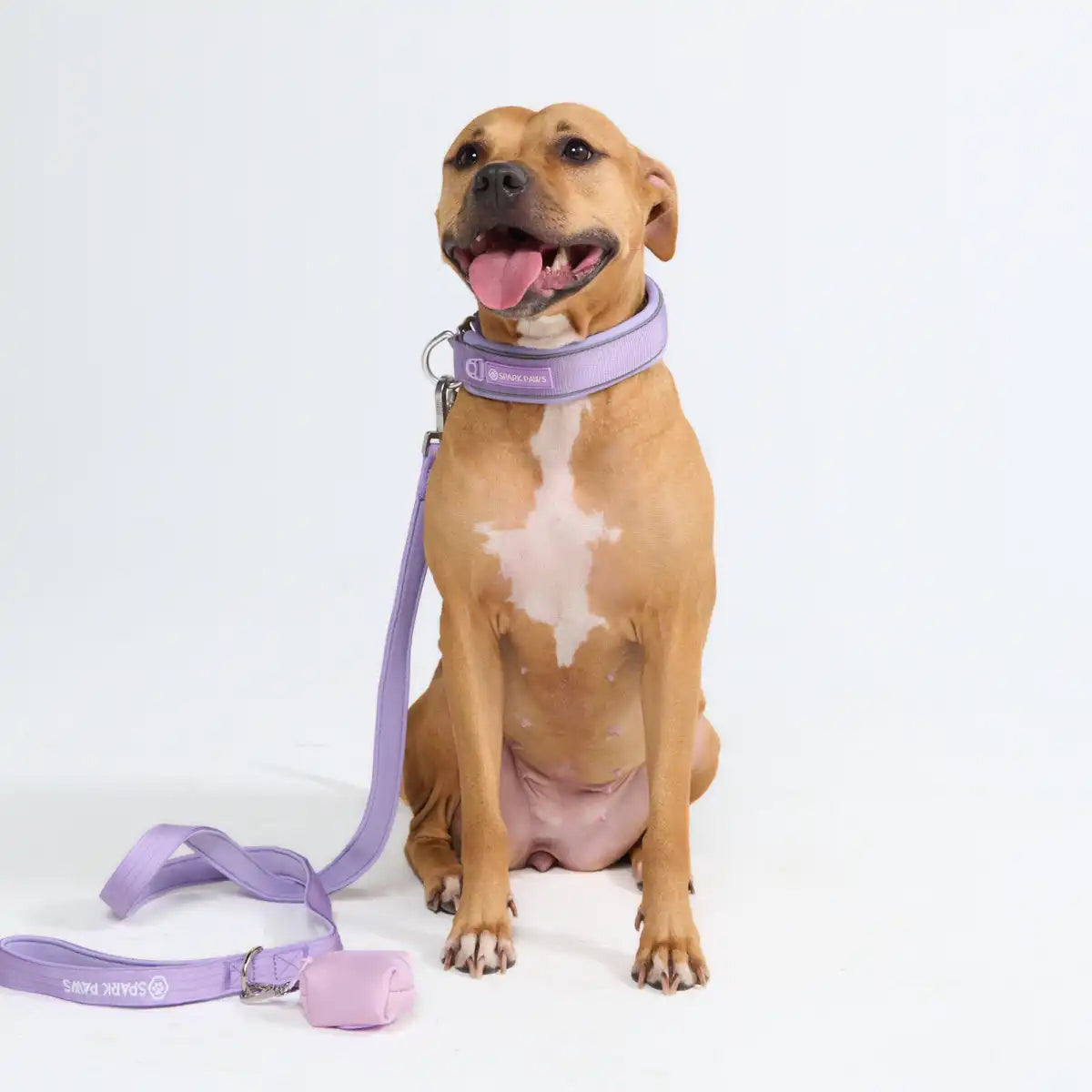 Cushioned Martingale Collars