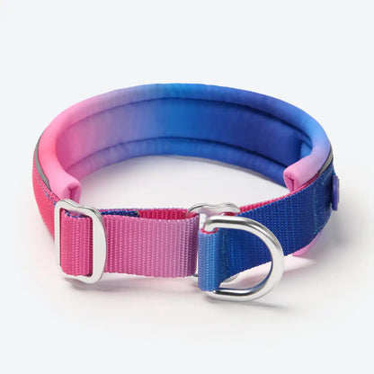 Cushioned Martingale Collars