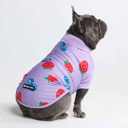 Sunblock Dog T-Shirt - Prints