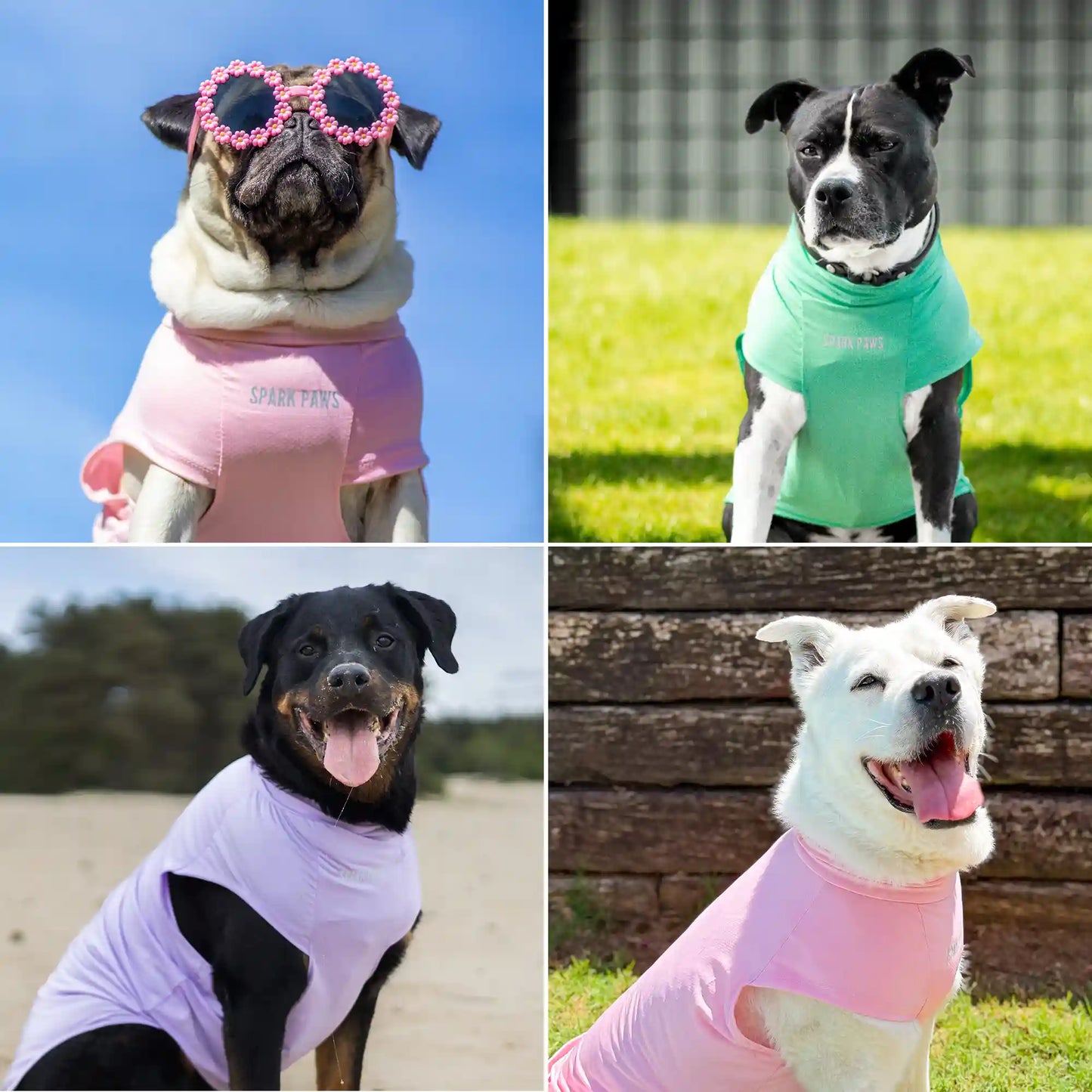 Sunblock T-Shirt 3 Pack