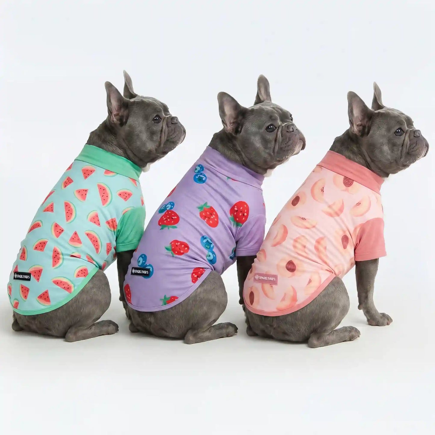 Sunblock T-Shirt 3 Pack