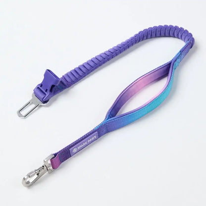 Multipurpose Seatbelt Handsfree Leash & Poop Bag Holder Set - 90s Retro
