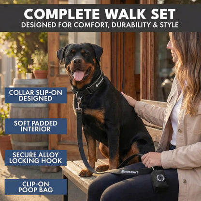 Martingale Collar Set - Black