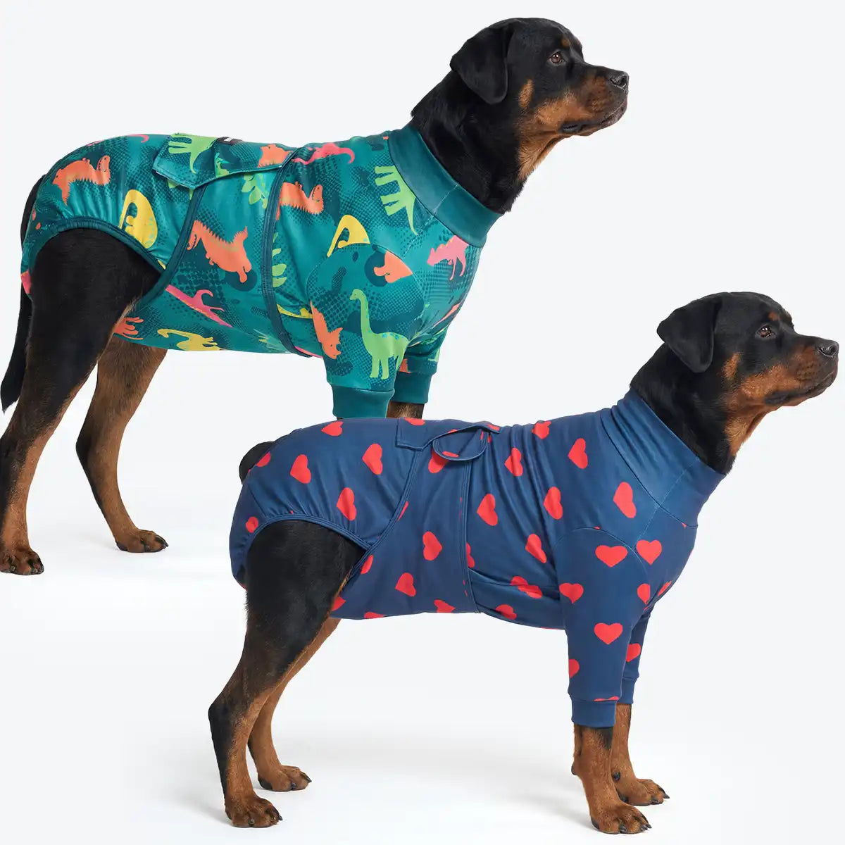 Dog Surgical Suit  2-pack