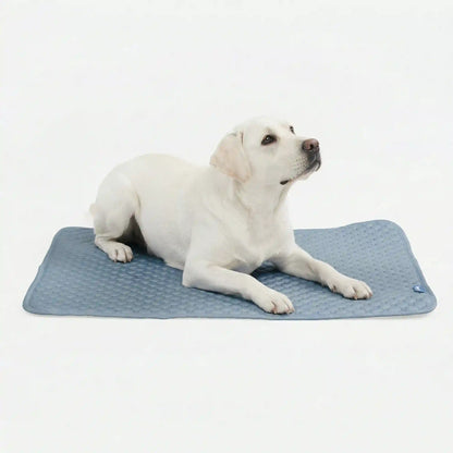 Frostcore™ Cooling Mat - Ash Blue