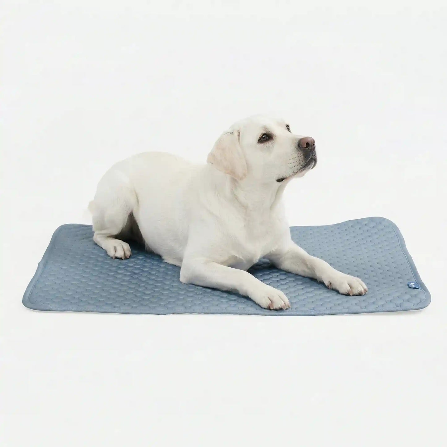 Frostcore™ Cooling Mat