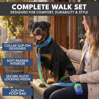 Martingale Collar Set - Lime Wave