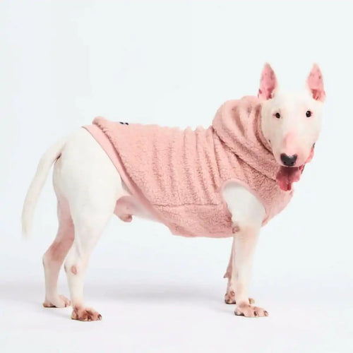 Teddy Sherpa Jacket - Pink