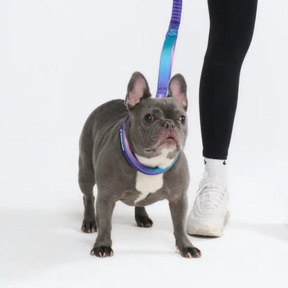 Cushioned Martingale Collars