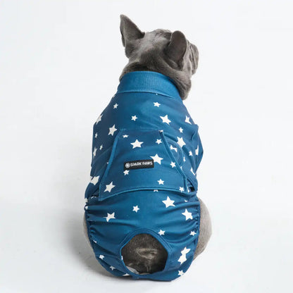 Dog Surgical Suit
