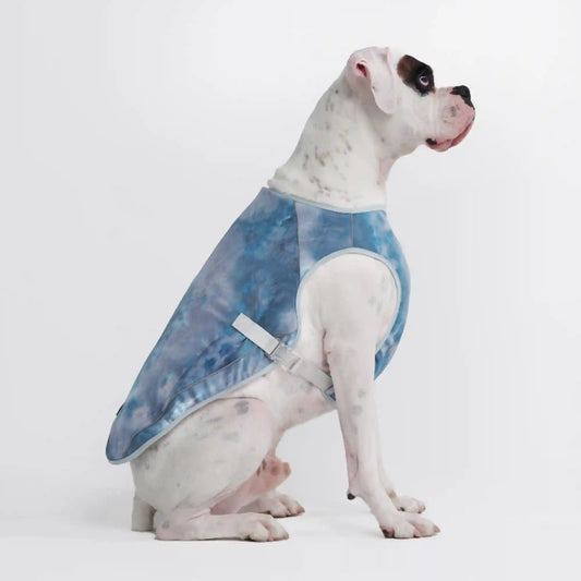 Dog Cooling Vest - Ice Blue