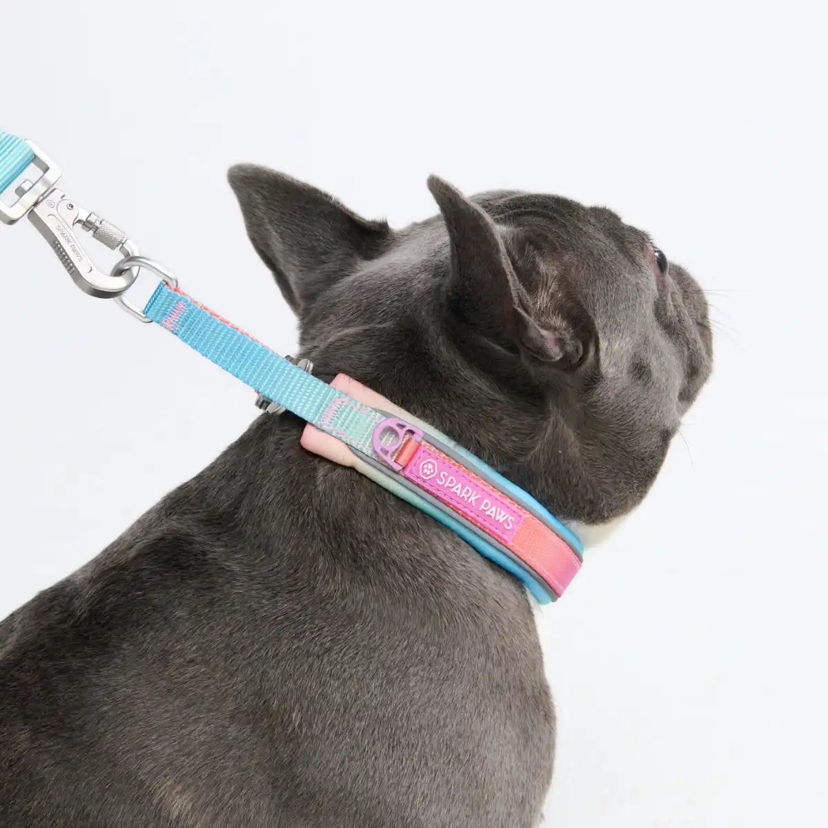 Cushioned Martingale Collars