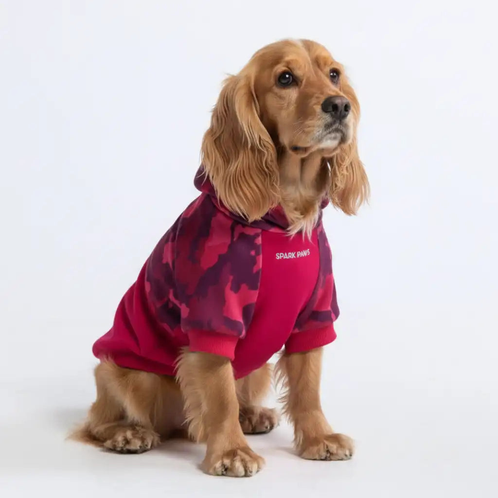 Camo Dog Hoodies