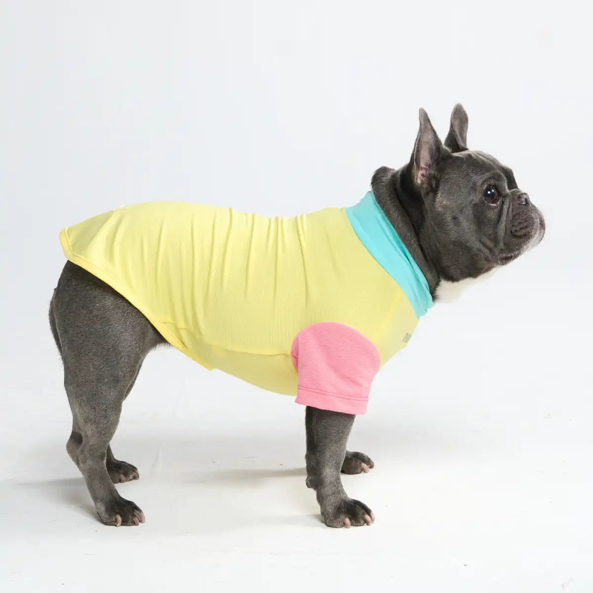 Sunblock Dog T-Shirt - Color Block