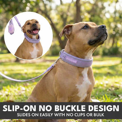 Martingale Collar and Multipurpose Leash Set - Lilac
