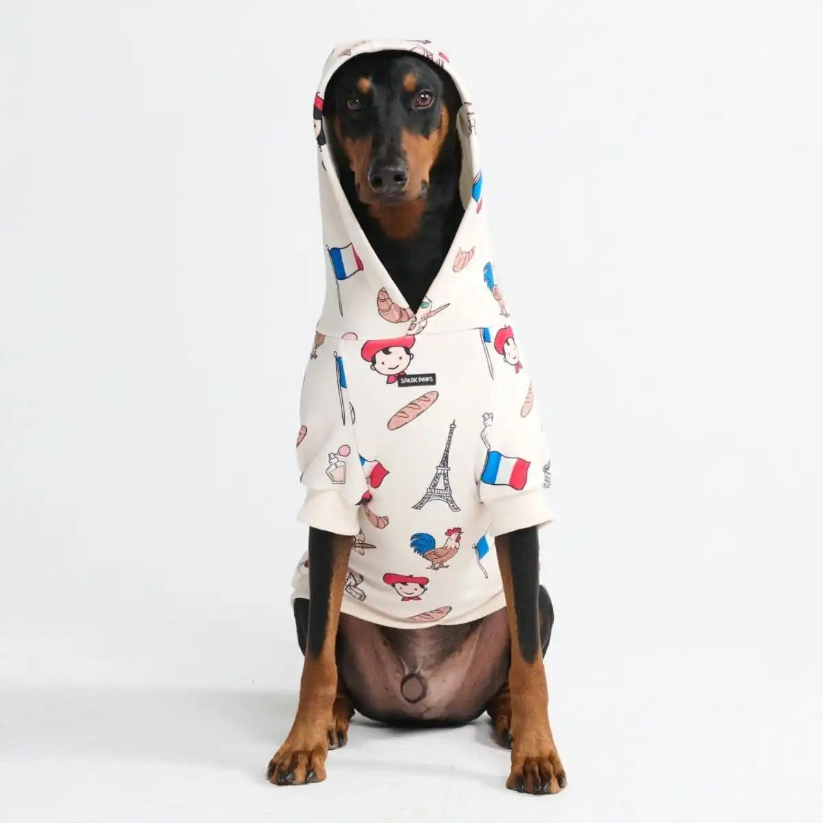 Around the World Dog Hoodies