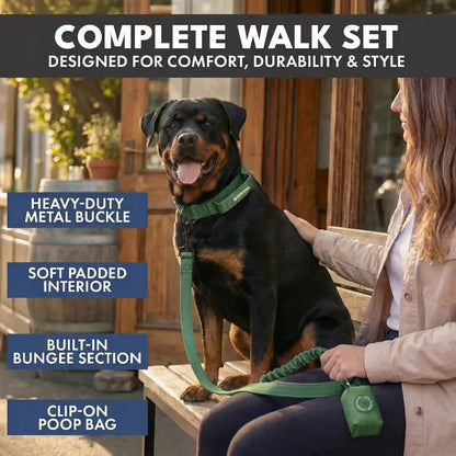 Comfort Control Collar and Multipurpose Leash Sets