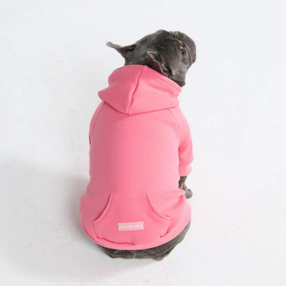Essential Dog Hoodies