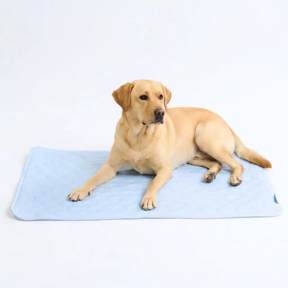 Frostcore™ Cooling Mat - Hearts Blue (2)