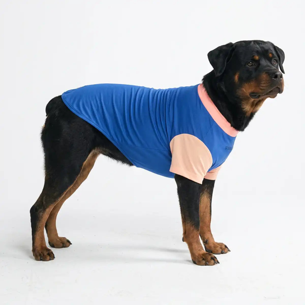 Sunblock Dog T-Shirt - Color Block