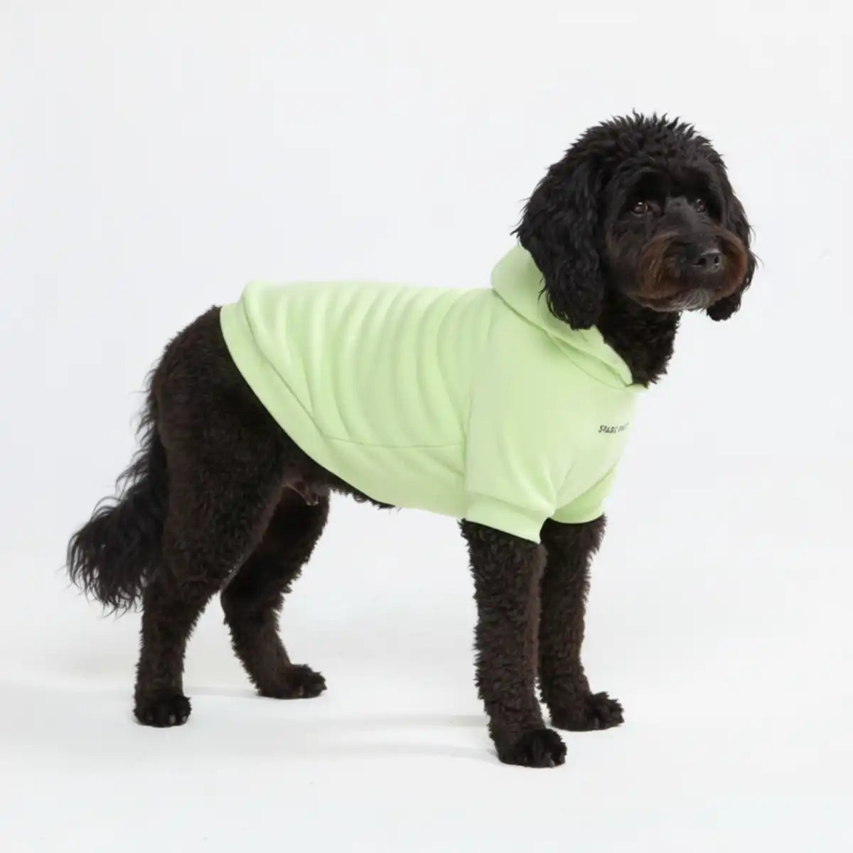 Essential Dog Hoodie - Honey Dew